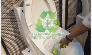 Những vật nên và không nên bỏ vào bồn cầu.